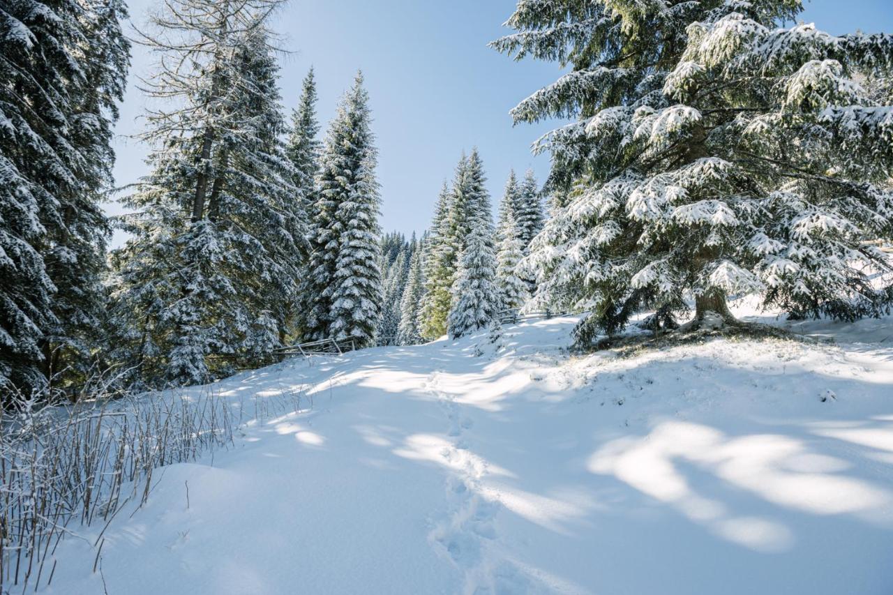 Cosy Lodge Pokljuka Goreljek Bagian luar foto