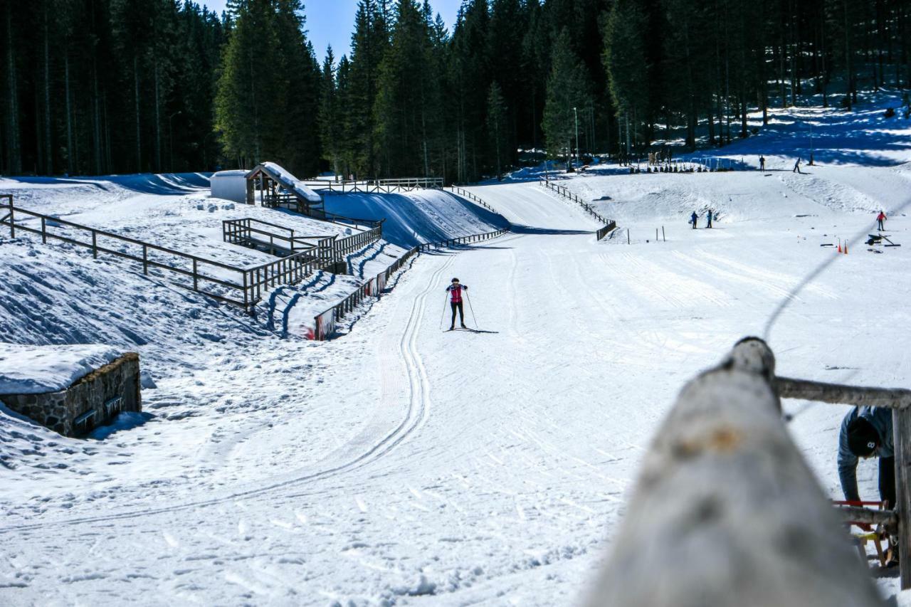 Cosy Lodge Pokljuka Goreljek Bagian luar foto