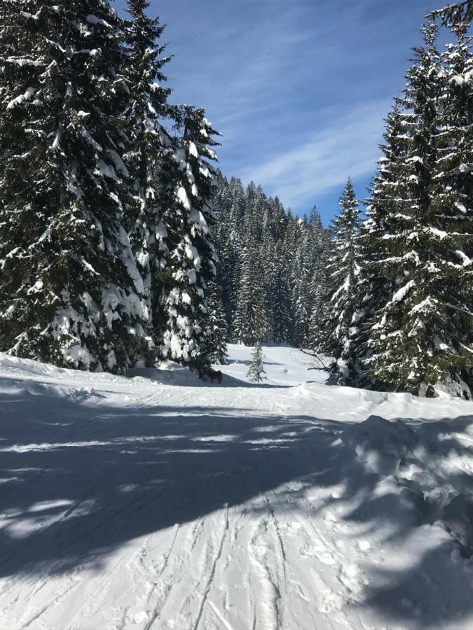 Cosy Lodge Pokljuka Goreljek Bagian luar foto