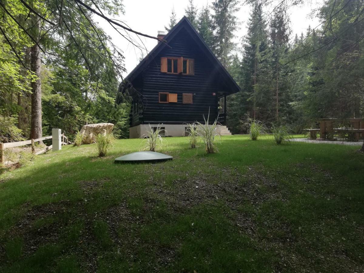 Cosy Lodge Pokljuka Goreljek Bagian luar foto